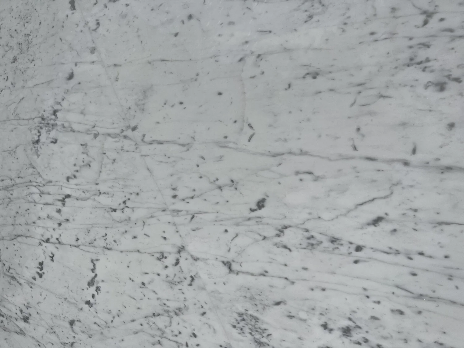 White+Carrara+Venatino+Lot+762+126x76+Close+Up