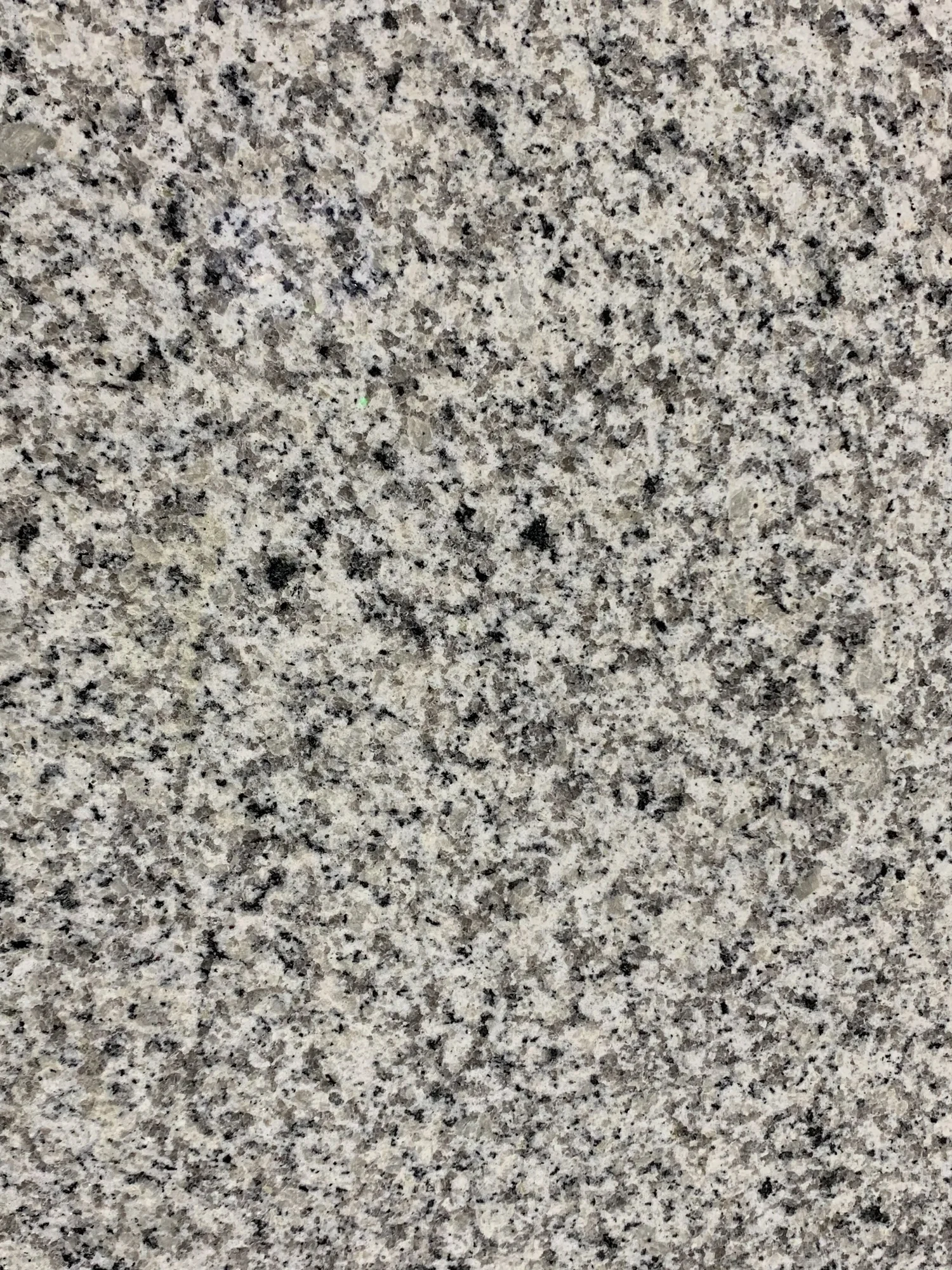 White+Fortaleza+Close+Up