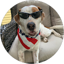 Bryan B. profile picture