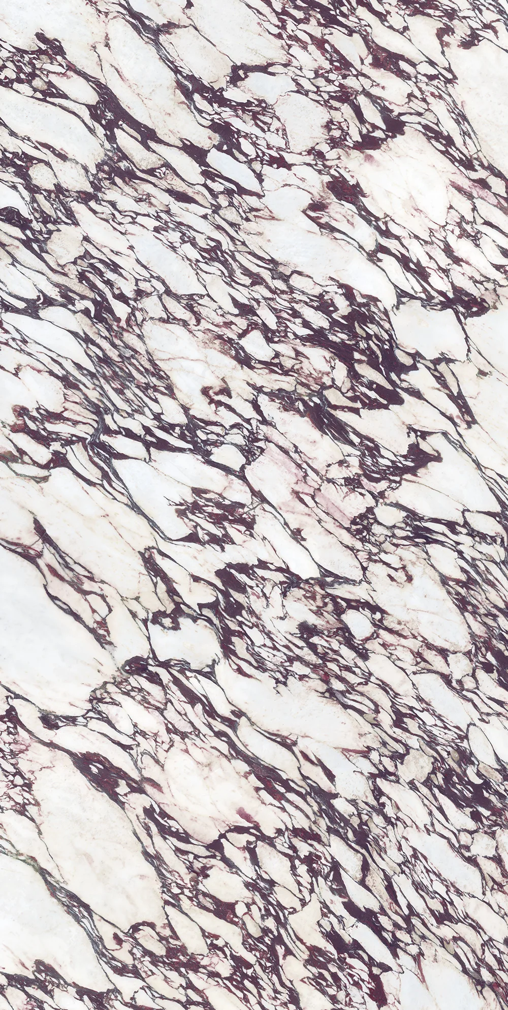 Infinity - Calacatta Viola close-up (photo: Infinity Surfaces)