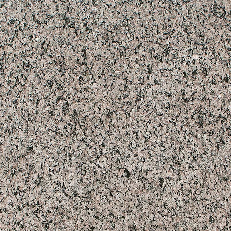 New Caledonia Polished close-up (photo: MSI)