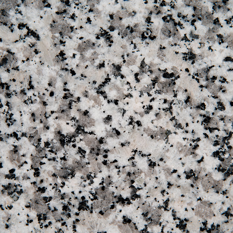 Luna Pearl Polished close-up (photo: MSI)