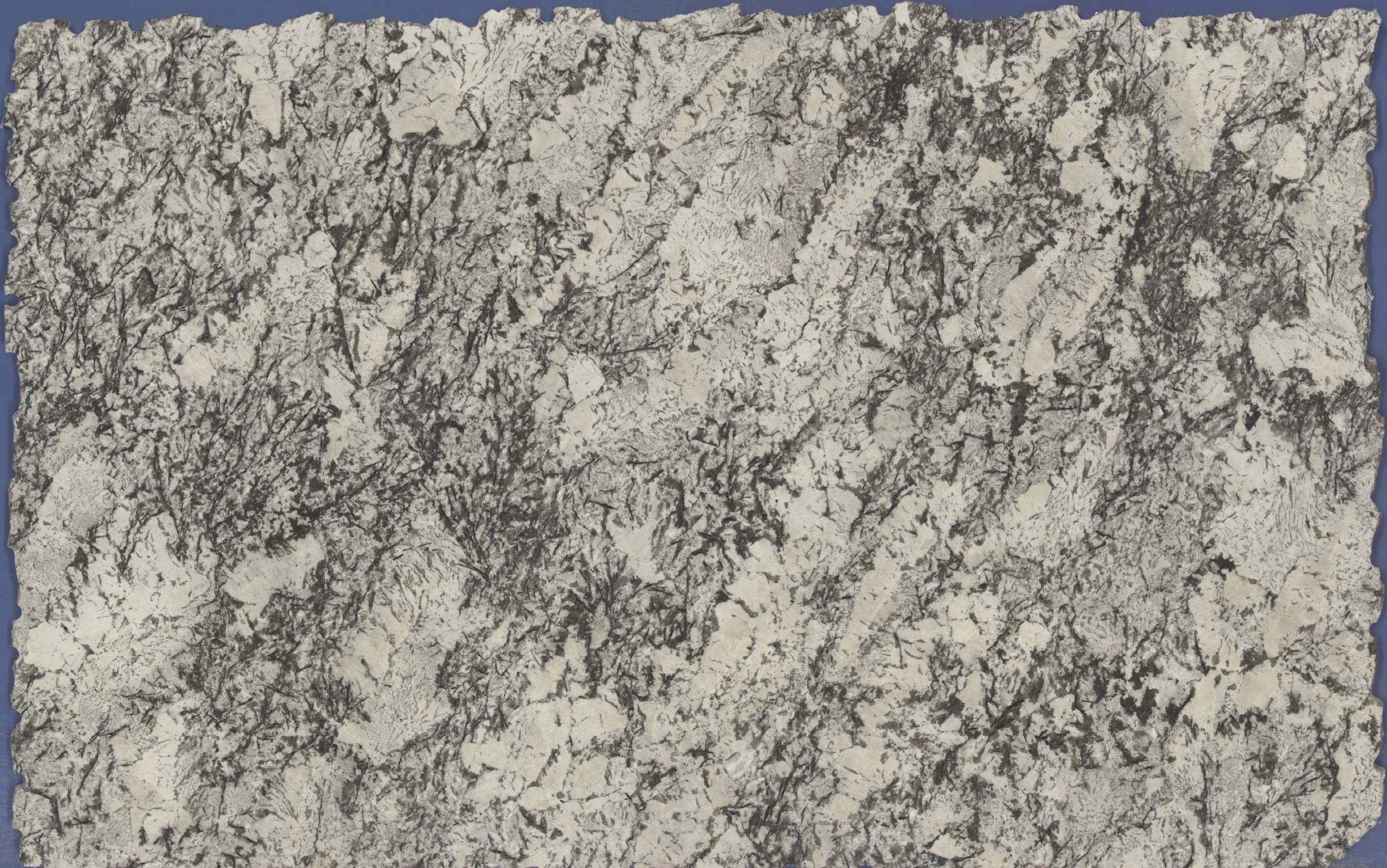 White Orion Polished slab