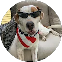 Bryan B. profile picture