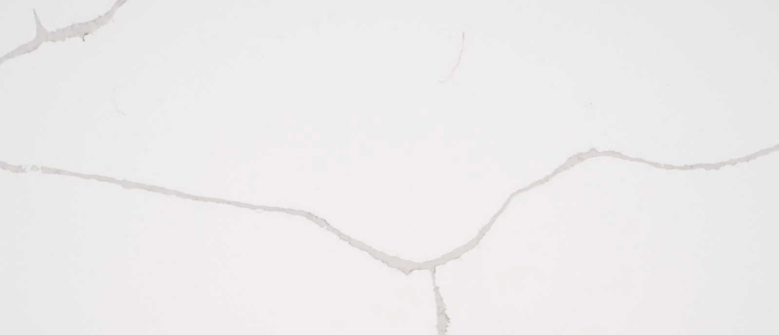 Q-MSI - Calacatta Classique close-up (photo: MSI)